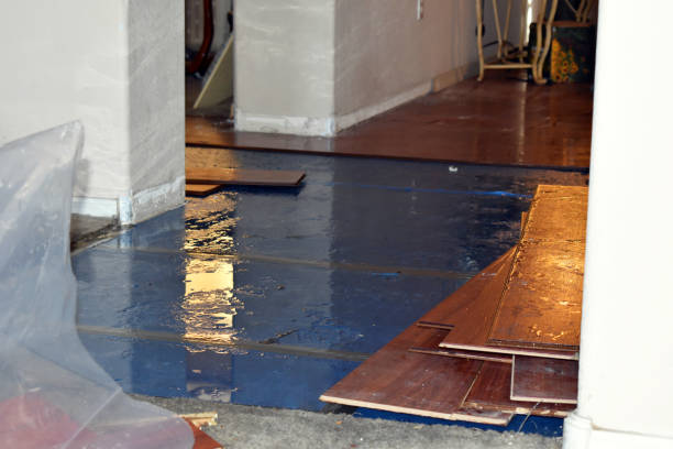 Professional Emergency Water Damage technician working in New Athens, OH